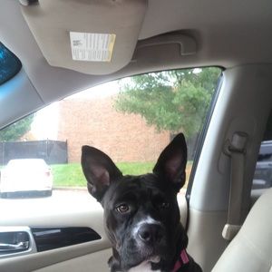 Meet your Posher, Sandra